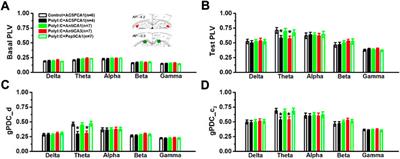 Maternal immune activation-induced proBDNF-mediated neural information processing dysfunction at hippocampal CA3-CA1 synapses associated with memory deficits in offspring